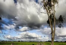 撒丁岛雄狮咆哮萨兰托,卡利亚里客场斩获三分,胜利号角嘹亮!