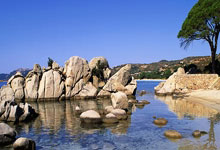 撒丁岛雄狮咆哮萨兰托，卡利亚里客场斩获三分，胜利号角嘹亮！